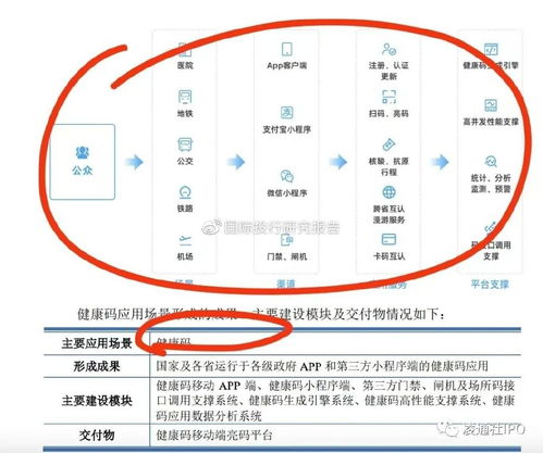 大漢軟件ipo尷尬審核 標(biāo)桿產(chǎn)品健康碼已下架螞蟻已解綁